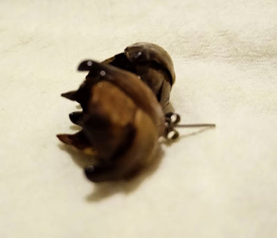 Aretes palmera cocotera